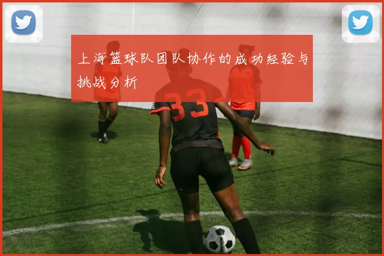 上海篮球队团队协作的成功经验与挑战分析