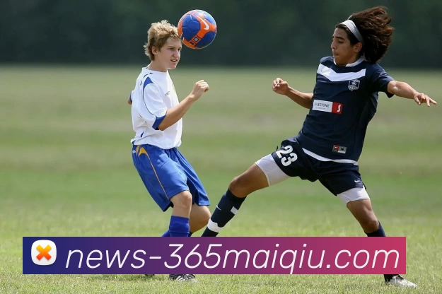 买球官网入口APP 高清赛事图